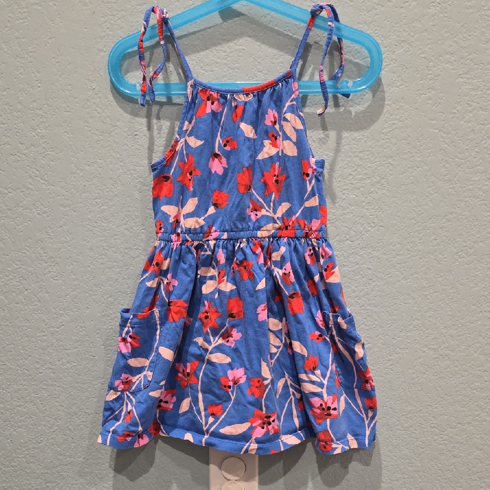 Tea Collection Blue and Pink Floral Dress